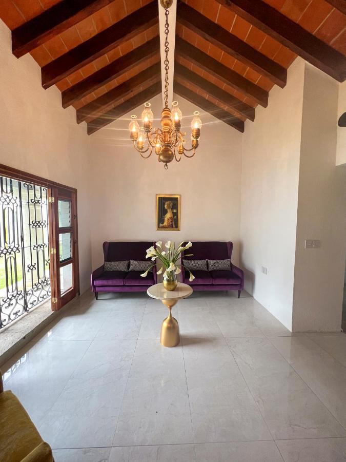 Villa Borghese Hotel Boutique - Adults Only Oaxaca Exteriör bild